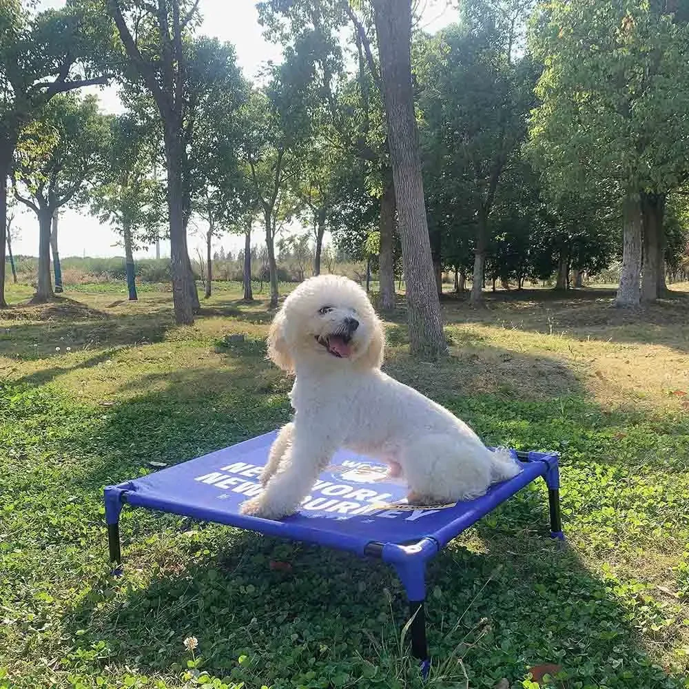 FULED Draagbare Verhoogde Hond - Outdoor Camping Dog Bed recensie en prijs